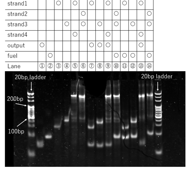 PAGE Result 2nd time