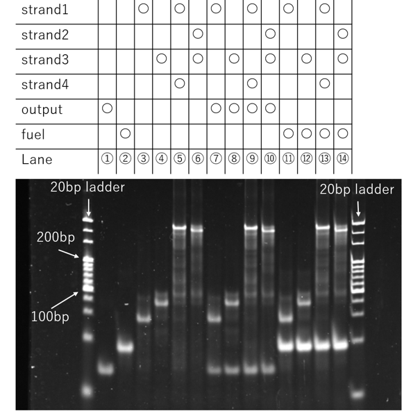PAGE Result 3rd time