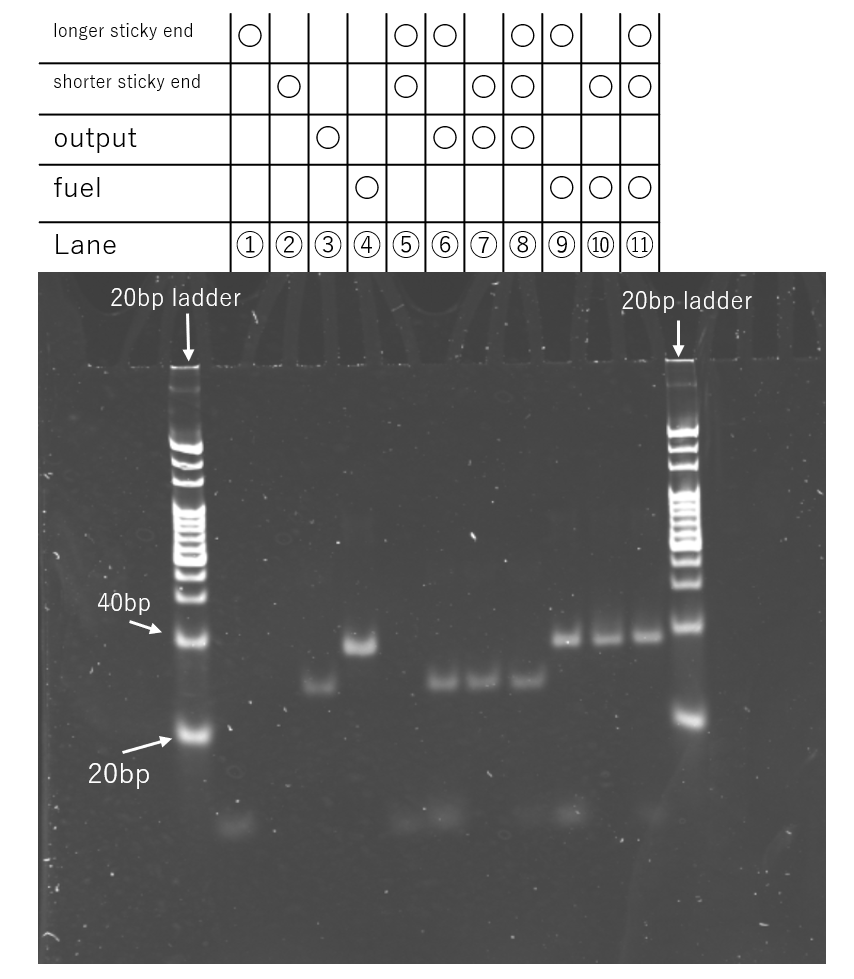 PAGE Result 4th time