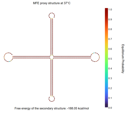 NUPACK Analysis result 2