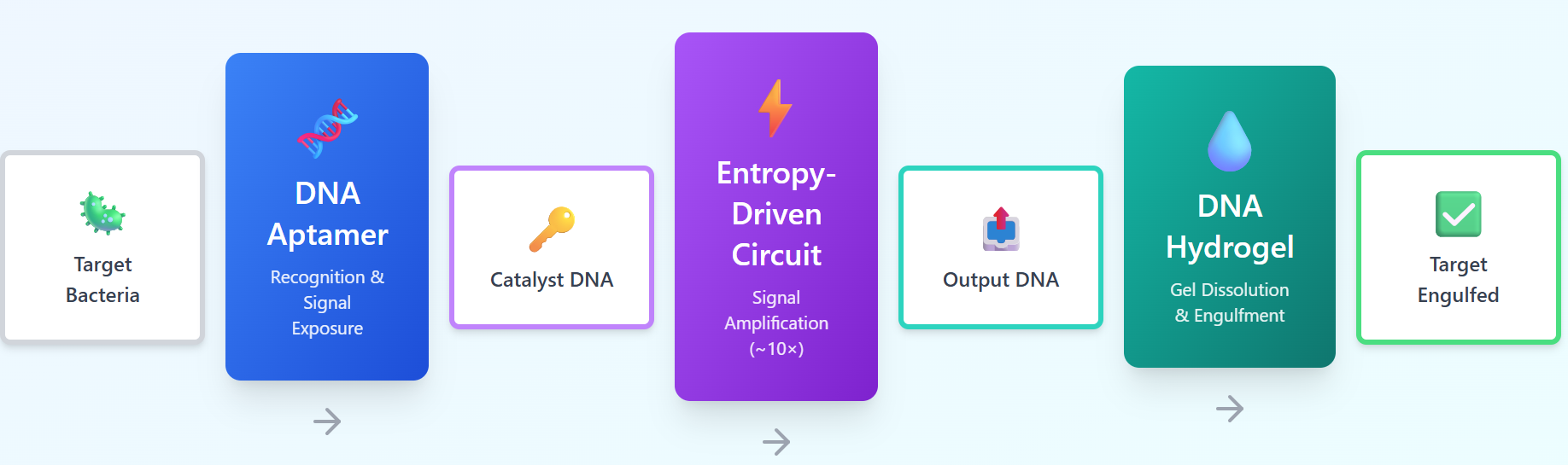 Hungry Gel system flow